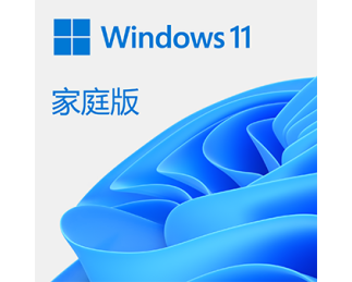 Windows 11 家庭版 电子下载版