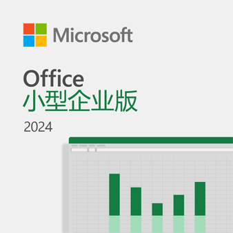 Office 小型企业版 2024 电子下载版